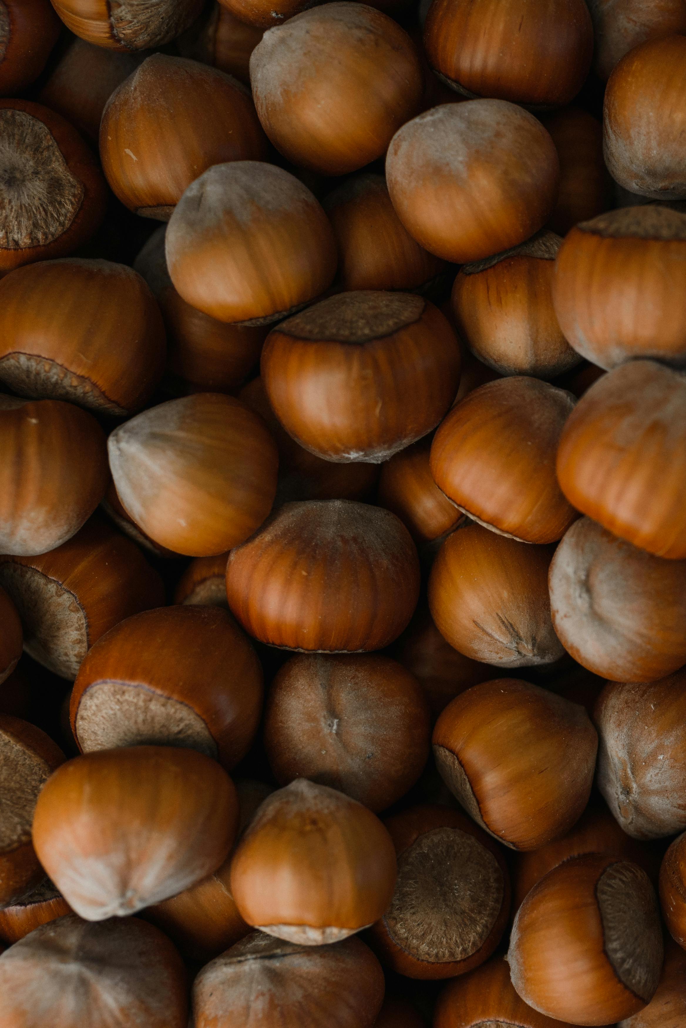 High-quality close-up image of shelled hazelnuts, perfect for food and health themes.